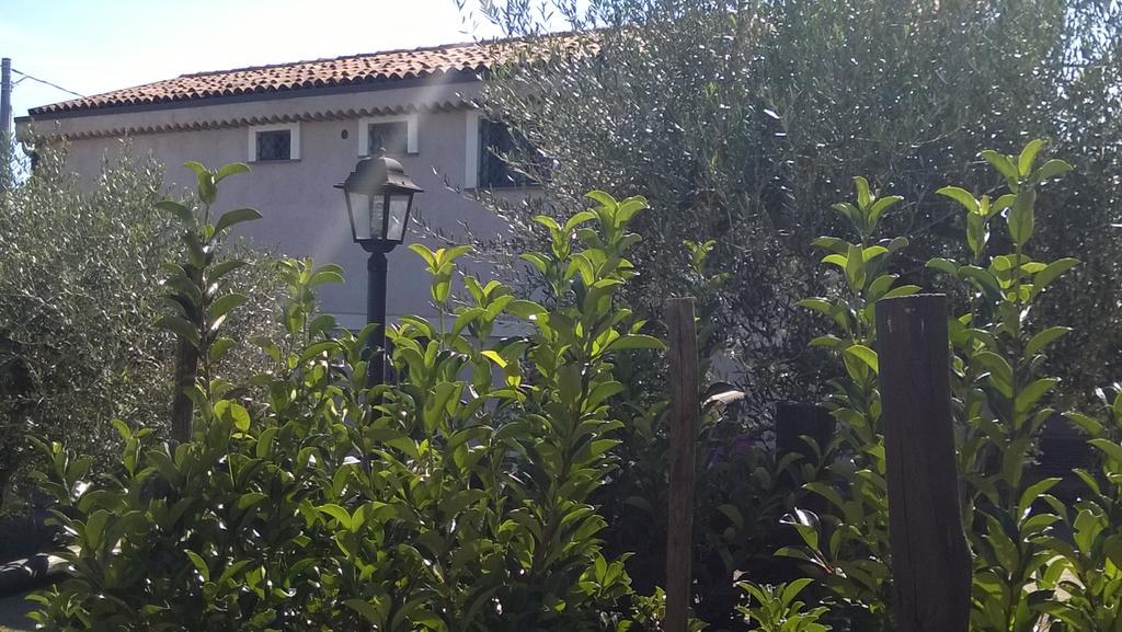 Seacily Etna House Βίλα Piedimonte Etneo Εξωτερικό φωτογραφία