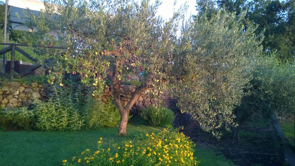 Seacily Etna House Βίλα Piedimonte Etneo Δωμάτιο φωτογραφία