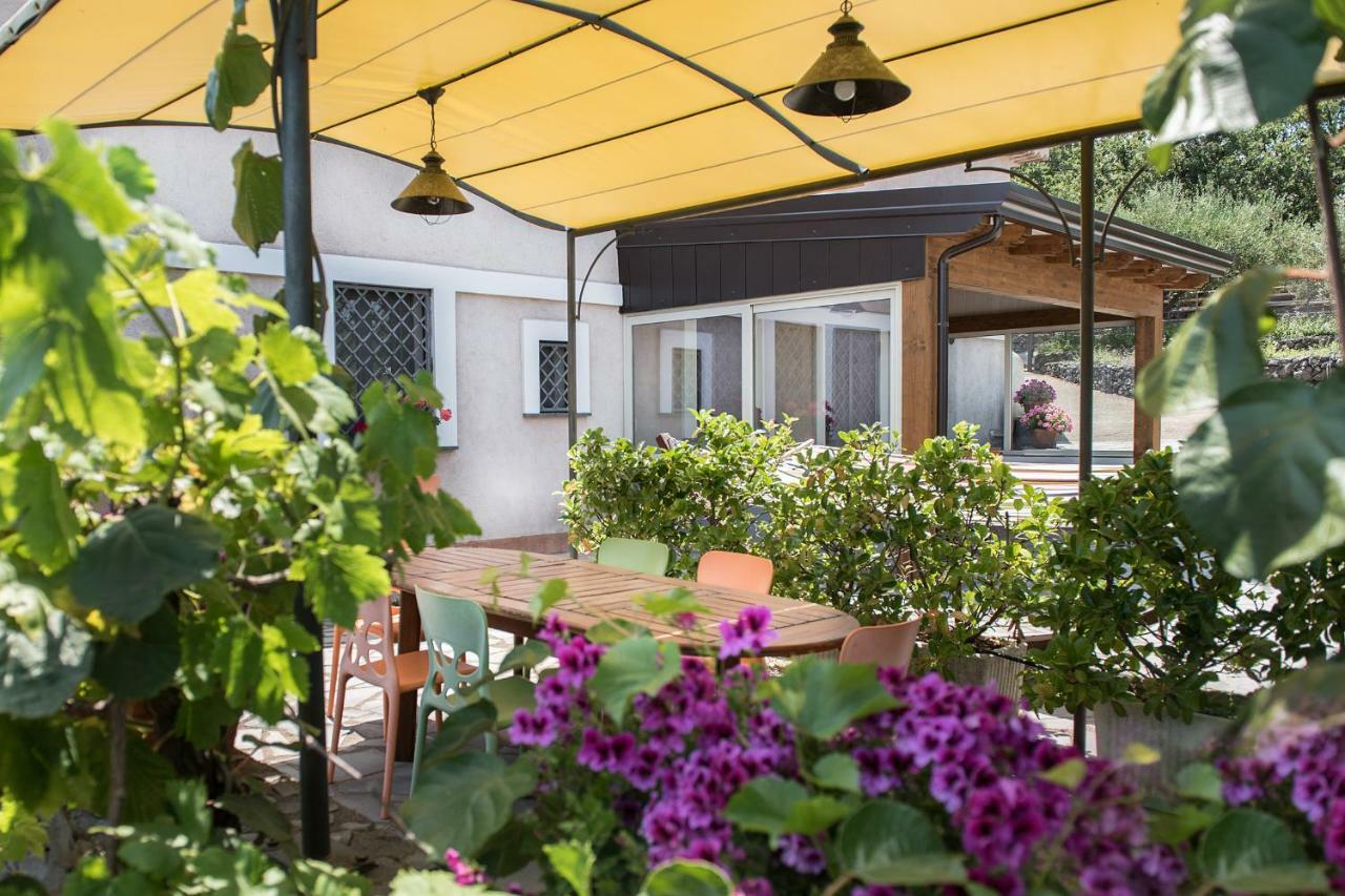 Seacily Etna House Βίλα Piedimonte Etneo Εξωτερικό φωτογραφία